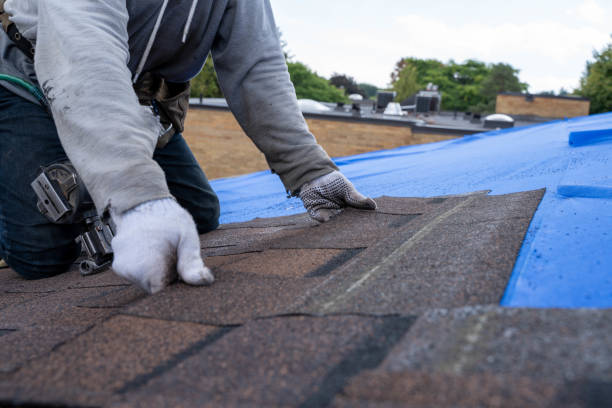 Best Residential Roofing Contractor  in Linden, AL