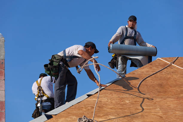 Best Roof Leak Repair  in Linden, AL
